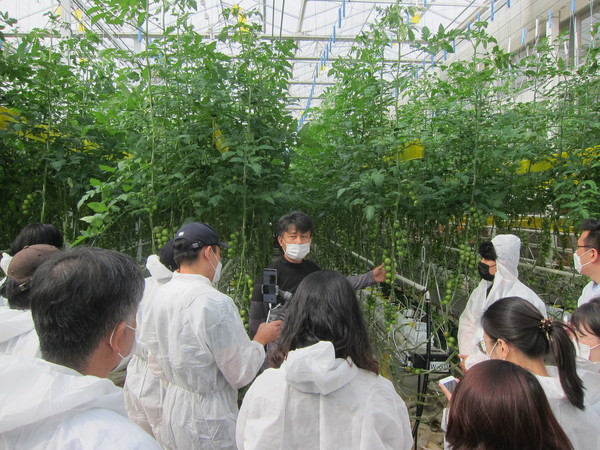 스마트팜 온실에서 교육을 듣고 있는 청년보육생들 /사진=전북농식품인력개발원제공